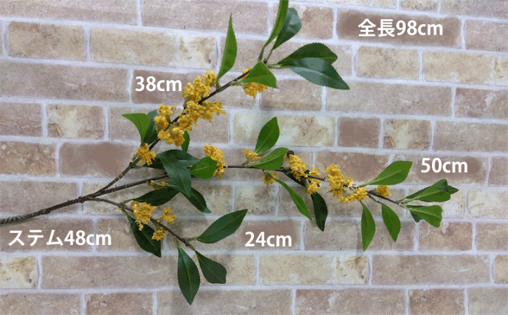 楽天市場】最短出荷 【秋の季節】96cm キンモクセイ(枝物) v25050