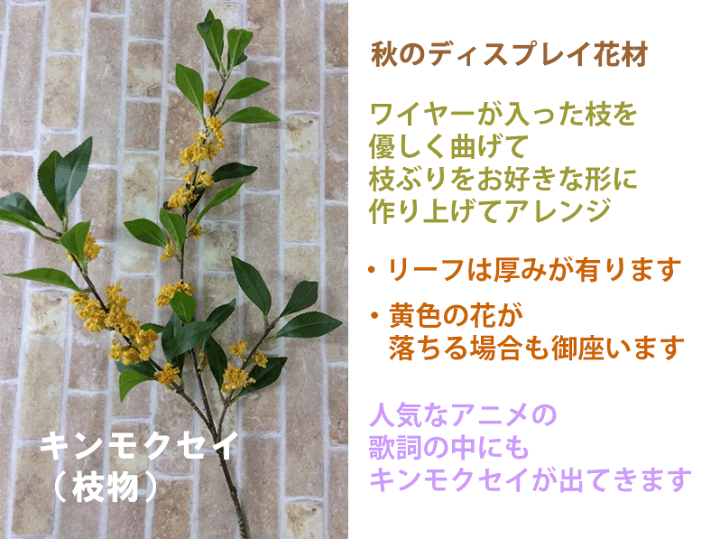 楽天市場】最短出荷 【秋の季節】96cm キンモクセイ(枝物) v25050