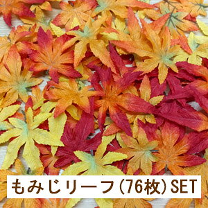 [ߏi]~j݂[tyH̑ԁzt ~jgt[t ~bNX 76Zbg (10×11cm)AZM-0001-5154