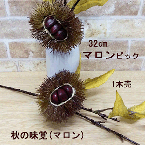 [ŒZo] }(I)sbNyH̑z 32cm }(I)sbN 25149