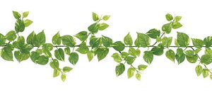 yt`|gXK[hz1{*LEG-3103 S180cm [t3`7.5cm 163t C[ 񂹏i