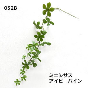 ascaO[[t@VTXVK[y~jVTXACr[oCz1{A-41132LT/GR@S43cm [t2.5`5cm*