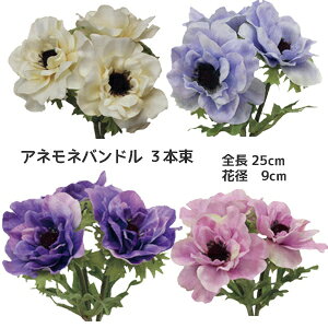 Allypԍ ԁzAlloh 3{ (S25cm Ԍa9cm)8229