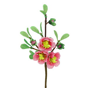 桃ピック【春】お雛祭り 全長18cm 桃ピック3輪付(花径1〜3cm)3612