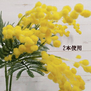 o ~Uyt̑ԁz1{ S54cm ~UXv[ 24095