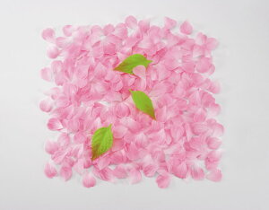 (PK)[t  Ԃт600[Ƃ悹\i] ([t Ԃт2.5cm [t6cm) Ԃт(PK)600ܔ FLE-7009