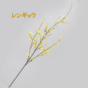 MEyԁzS96cm ME (Ԍa3.5`5cm) 22244