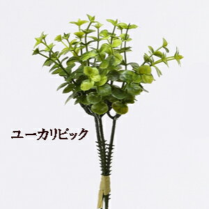 [���O�g�p�\]�O���[���s�b�N�y���ԁz���[�J���o���h��(GR) 3�{�� F3964-24