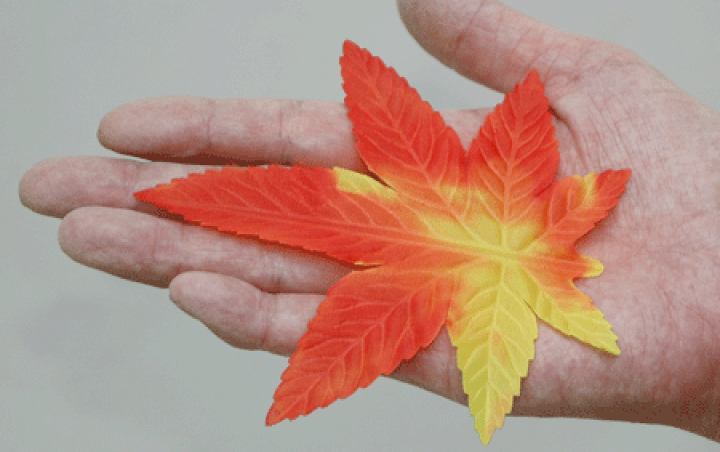 楽天市場】もみじリーフ【秋の造花】落ち葉 紅葉リーフ ミックス 50枚