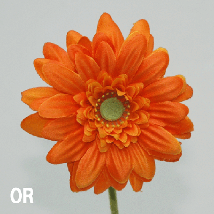 楽天市場】[即日出荷] ガーベラショート【造花】花径6cm全長35cm