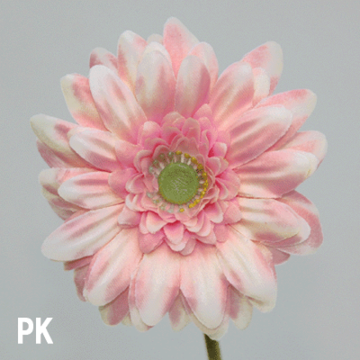 楽天市場】[即日出荷] ガーベラショート【造花】花径6cm全長35cm