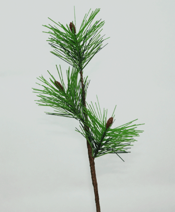 楽天市場】松の枝【正月用 花材】全長約27cm 松の枝3個付(葉長約