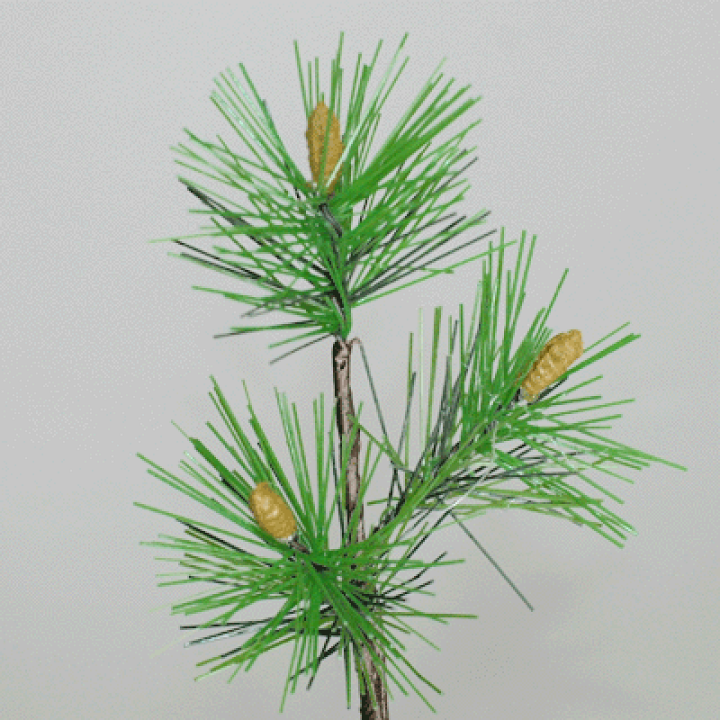 松切り枝 楽天市場】松の枝【正月用 花材 松】全長約17cm 松の枝3個付(葉