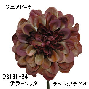 WjAsbN(34-eRb^)Ԍa10cm P-8254-34p