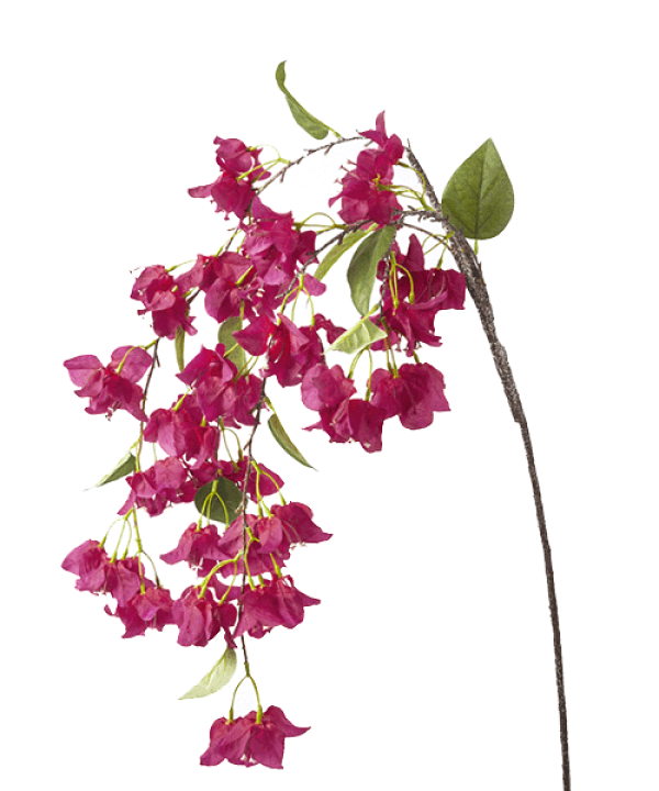 楽天市場】最短出荷 115cm ブーゲンビリア【夏の造花】トロピカル