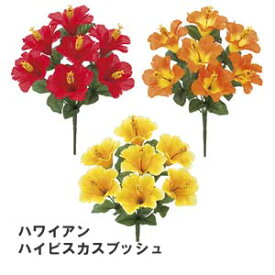 楽天市場 ハイビスカス 鉢植えの通販