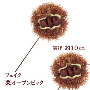 [ŒZo]HIC[tyH̎z 1{ I[vIsbN(C[t) BRP-6009