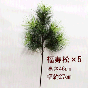 ×5[ty ԍށz S46cm  22201