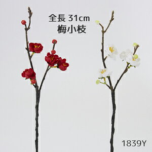 ~yt ԍ zS31cm ~} 1839Y[񂹉]