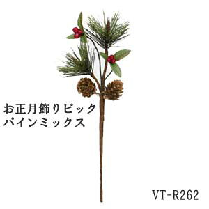 31cmysbNzpC~bNXsbN (S31cm 10cm)VT-R262