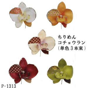 ����߂�f�� �R�`���E���� 3�{1�g-GR 1313