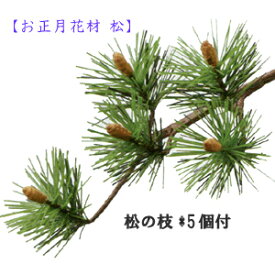 楽天市場 松 枝の通販