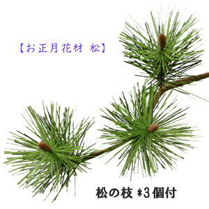 *[ŒZo] ̎}yp ԍށzS27cm ̎}3t(t3.5cm) P1383-3