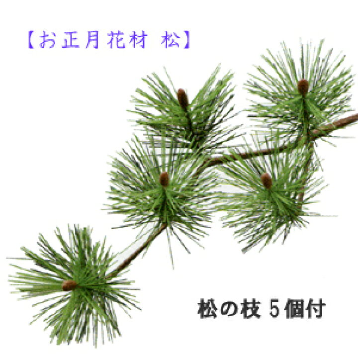 楽天市場 お正月用 花材 松 全長約33cm 松の枝 5個付 葉長約3 5cm P13 5 取寄せ可 パレ 造花の店ａｚｕｍａ