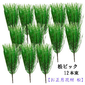 *[ē ŒZo] sbN(O[)yz12{ܓ S15cm sbN(̒6cm) P2010-6