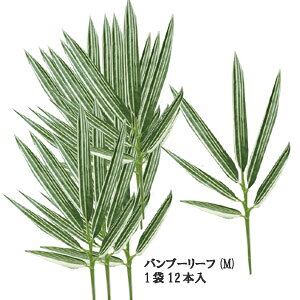 [ ]ou[[t(M)12{ܓ S30cm AXJ[񂹉]A-74385