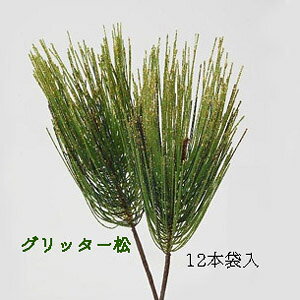 *[ē ŒZo] sbN(Ob^[)yz12{ܓ S15cm sbN(̒6cm) P2010-6G-12