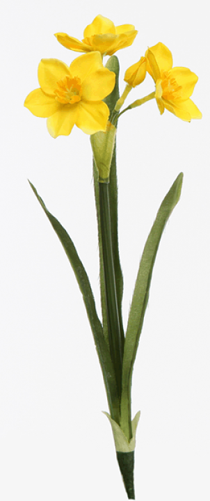 水仙花 楽天市場】[最短出荷]日本水仙【造花】4輪付 全長約34cm(花径約