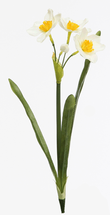 楽天市場】[最短出荷]日本水仙【造花】4輪付 全長約34cm(花径約5cm*花3