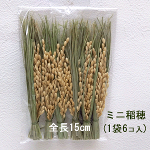 [݌ɂ킸]~j(16R)S15cm A-71111