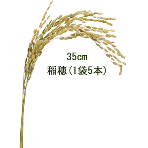 ~j(15{)S35cm A-71134