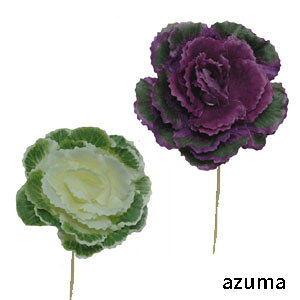 t{^ yԍށz2F킹 tO S16.5cm Ԍa7cm 358704-