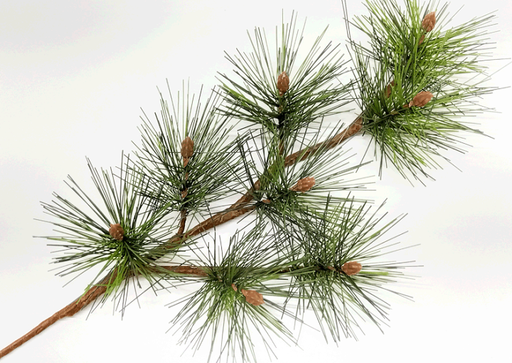 楽天市場】[再入荷]全長36cm 五葉松【松】枝(スプレー)五葉松8個付(葉