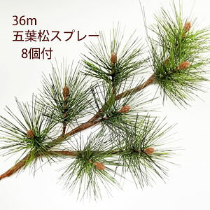 [ē]S36cm ܗtyz}(Xv[)ܗt8t(ta7cm)5174-M