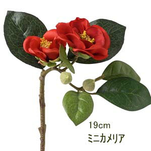 *[ē ŒZo] JAyԍށzփsbN ~jJA(2֕tsbN) S19cm p9814-9832-50