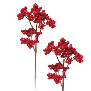 [ēׁ@o] x[sbN(bh) 1{ S20cm VEG-5514