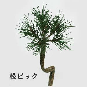 yp ԍ zS30cm sbN (6cm 6t)1717D*