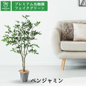 No20061 v~AG}tFCNO[u@ׂȎ}Ԃ × X^CbVȔ tBJXExW~ 97cm 66cm s60cmviForma|bgtjyMtgsztFCN    