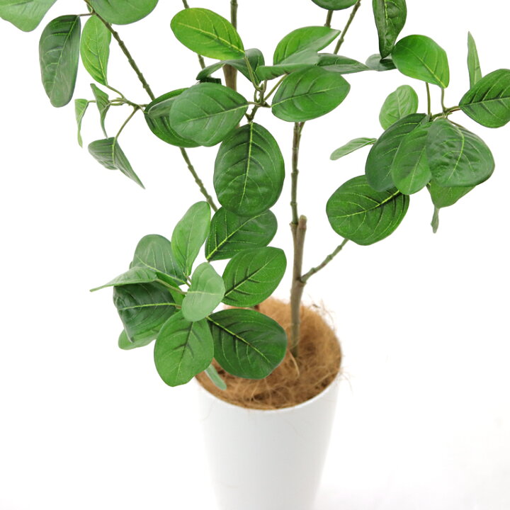フェイクグリーン 観葉植物 フェイク 人工観葉植物 光触媒 造花 インテリア リアル おしゃれ お祝い 鉢 植木 葉 枝 木 ジャックフルーツ ツツジみたい 人気 空気清浄 抗菌 人工 室内 玄関 リビング オフィス 消臭 観葉樹 3本立 105cm 【日付指定・ギフト不可 ... 園芸・DIY 関連 フェイクグリーン 造花 グリーンボード WZK-21 オススメ 送料無料