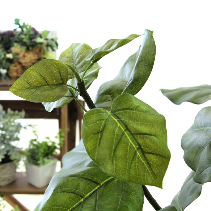 楽天市場】フェイクグリーン ウンベラータ 150cm 光触媒 観葉植物 造花 