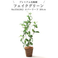 フェイクグリーン エバーリーフ 89cm 光触媒 観葉植物 造花 リアル 室内 リビング 玄関 インテリア おし…
