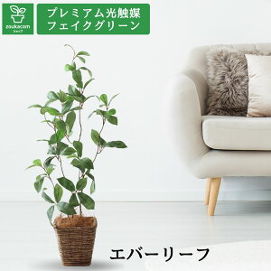 No3563N2 v~AG}tFCNO[ ŷ܂܏ `fUCzuRȔZW̗t × }ԂbGo[[tixW~nj2{b89cm×40cm×s33cmv