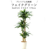 楽天市場】フェイクグリーン 170センチの通販