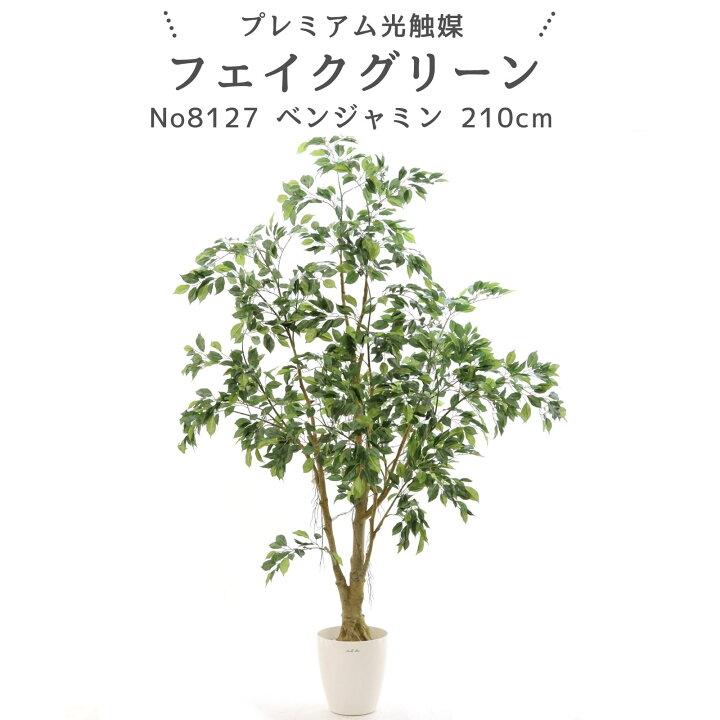 楽天市場】フェイクグリーン ベンジャミン 210cm 光触媒 観葉植物 造花 