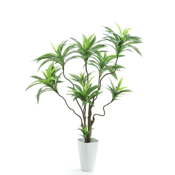 光触媒 人工観葉植物 フェイクグリーン フレッシュドラセナW1.8m 浅