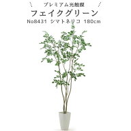 フェイクグリーン シマトネリコ 180cm 光触媒 観葉植物 造花 リアル 室内 リビング 玄関 インテリア おし…